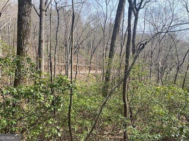 0.35 Acres of Land for Sale in Clayton, Georgia
