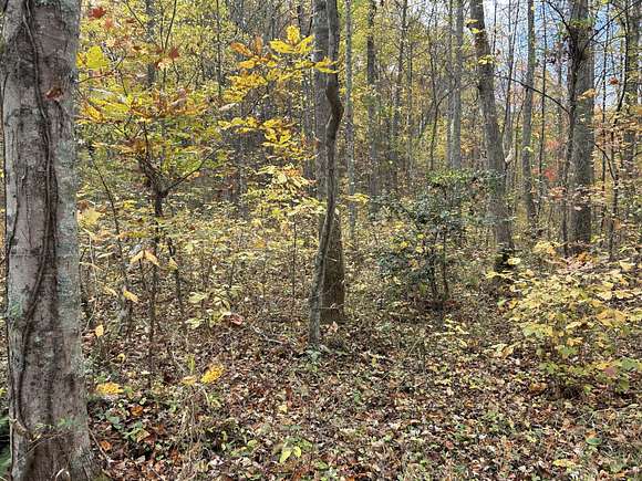 7.5 Acres of Residential Land for Sale in Clay City, Kentucky