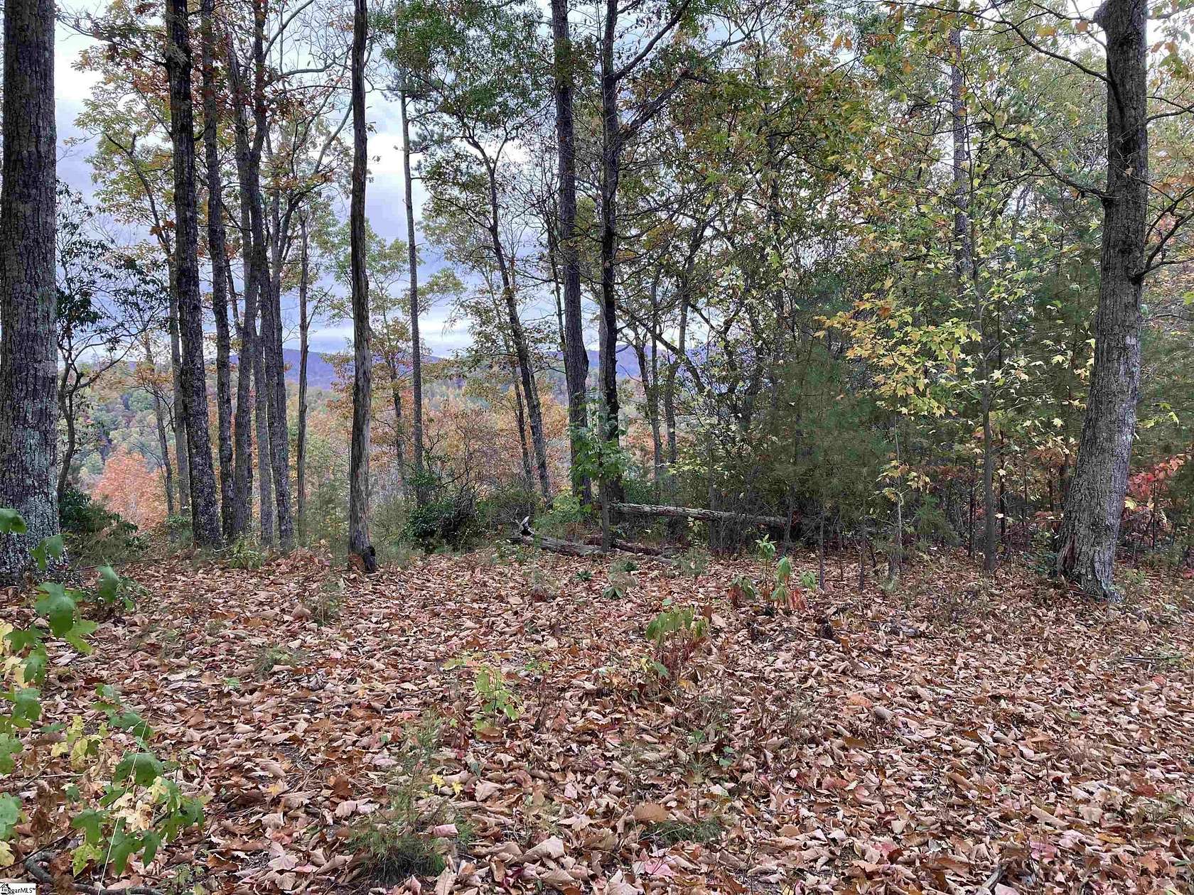 1.2 Acres of Residential Land for Sale in Marietta, South Carolina