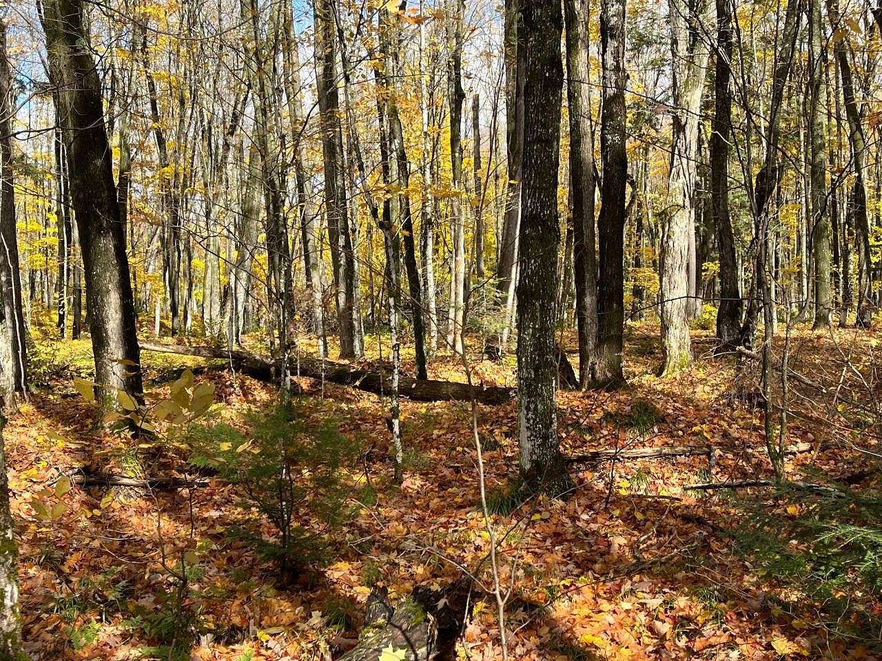1.8 Acres of Residential Land for Sale in Presque Isle, Wisconsin