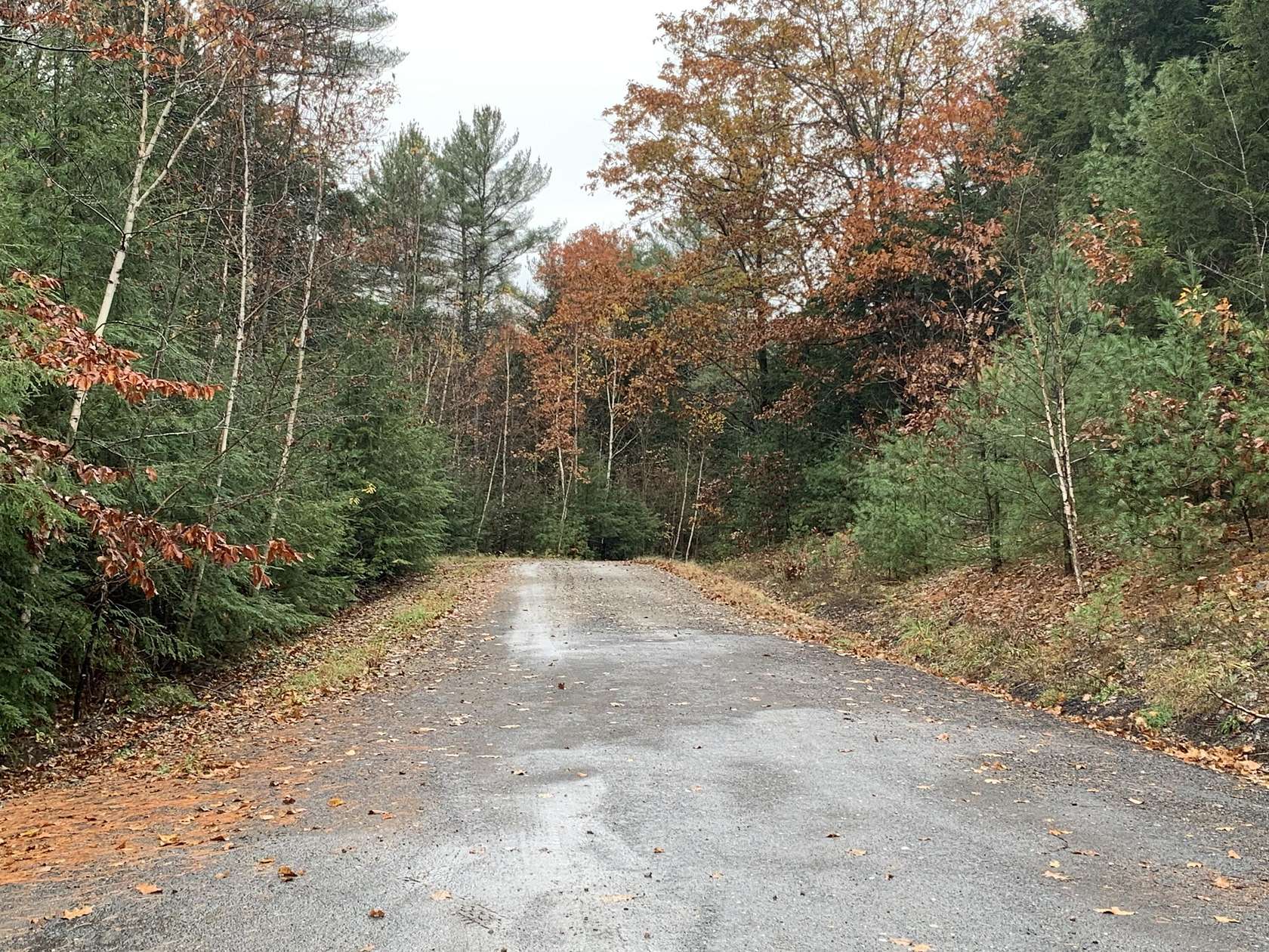 5.9 Acres of Residential Land for Sale in Lewis, New York