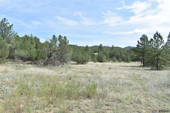 10 Acres of Recreational Land for Sale in Cotopaxi, Colorado