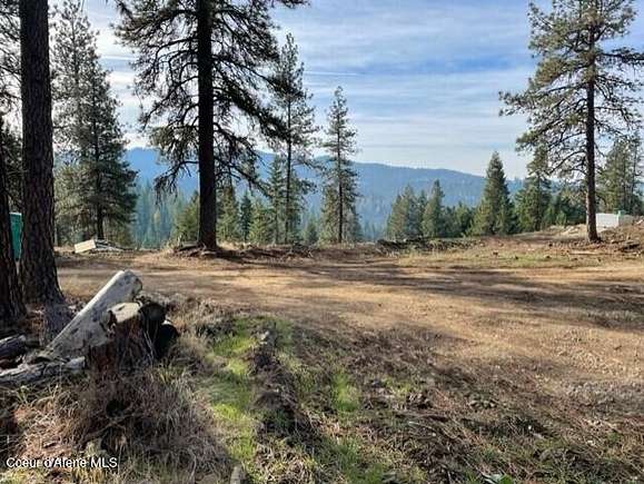 10 Acres of Land for Sale in Harrison, Idaho