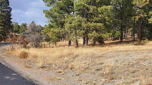 0.58 Acres of Residential Land for Sale in Pagosa Springs, Colorado