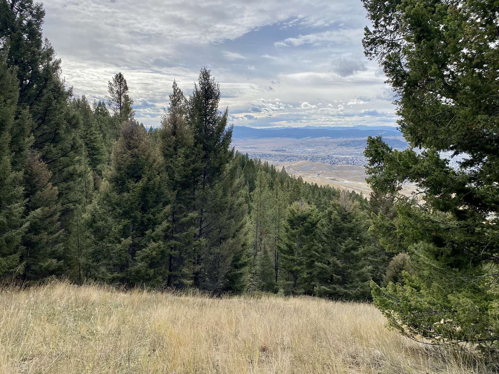 5.1 Acres of Land for Sale in Butte, Montana