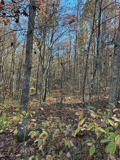 5.1 Acres of Residential Land for Sale in Wilder, Tennessee