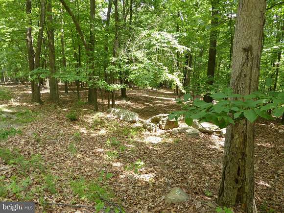 2.17 Acres of Land for Sale in Paw Paw, West Virginia