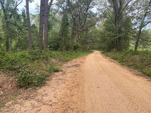 20 Acres of Recreational Land for Sale in Rison, Arkansas