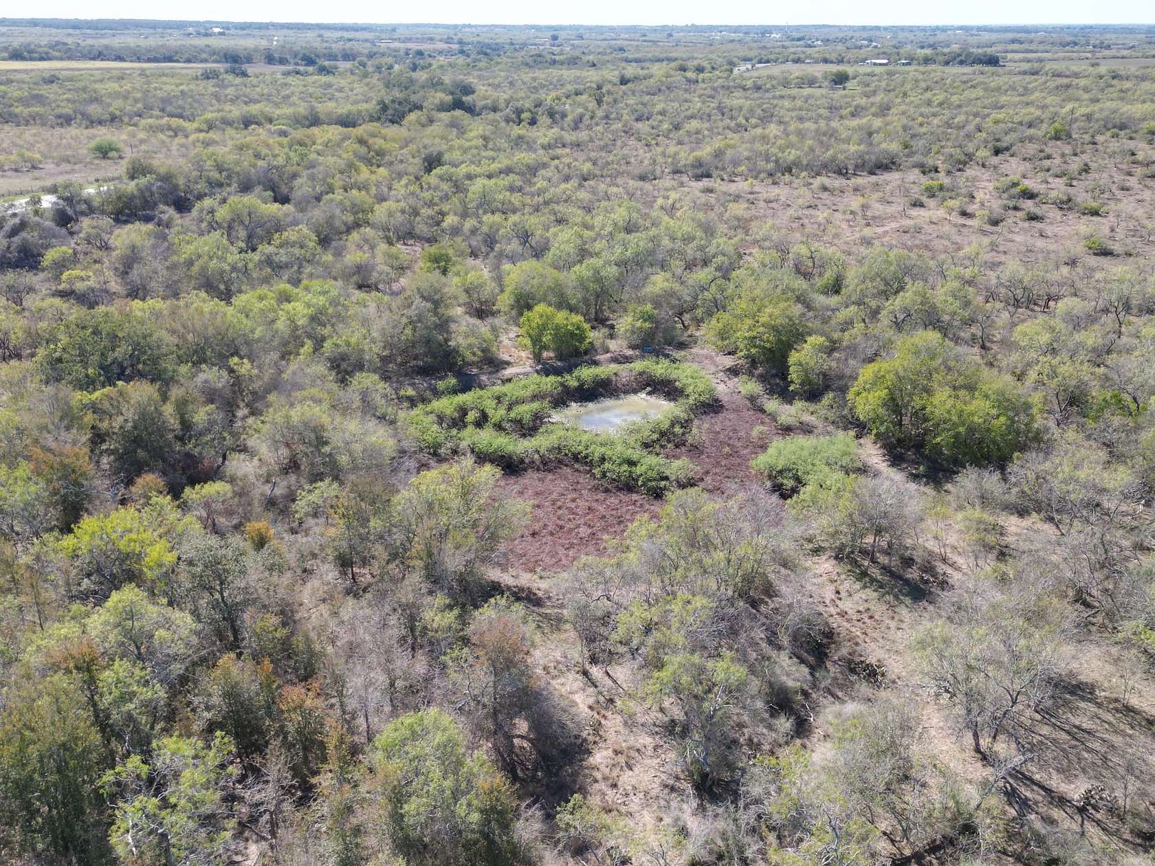 59.3 Acres of Land for Sale in Stockdale, Texas