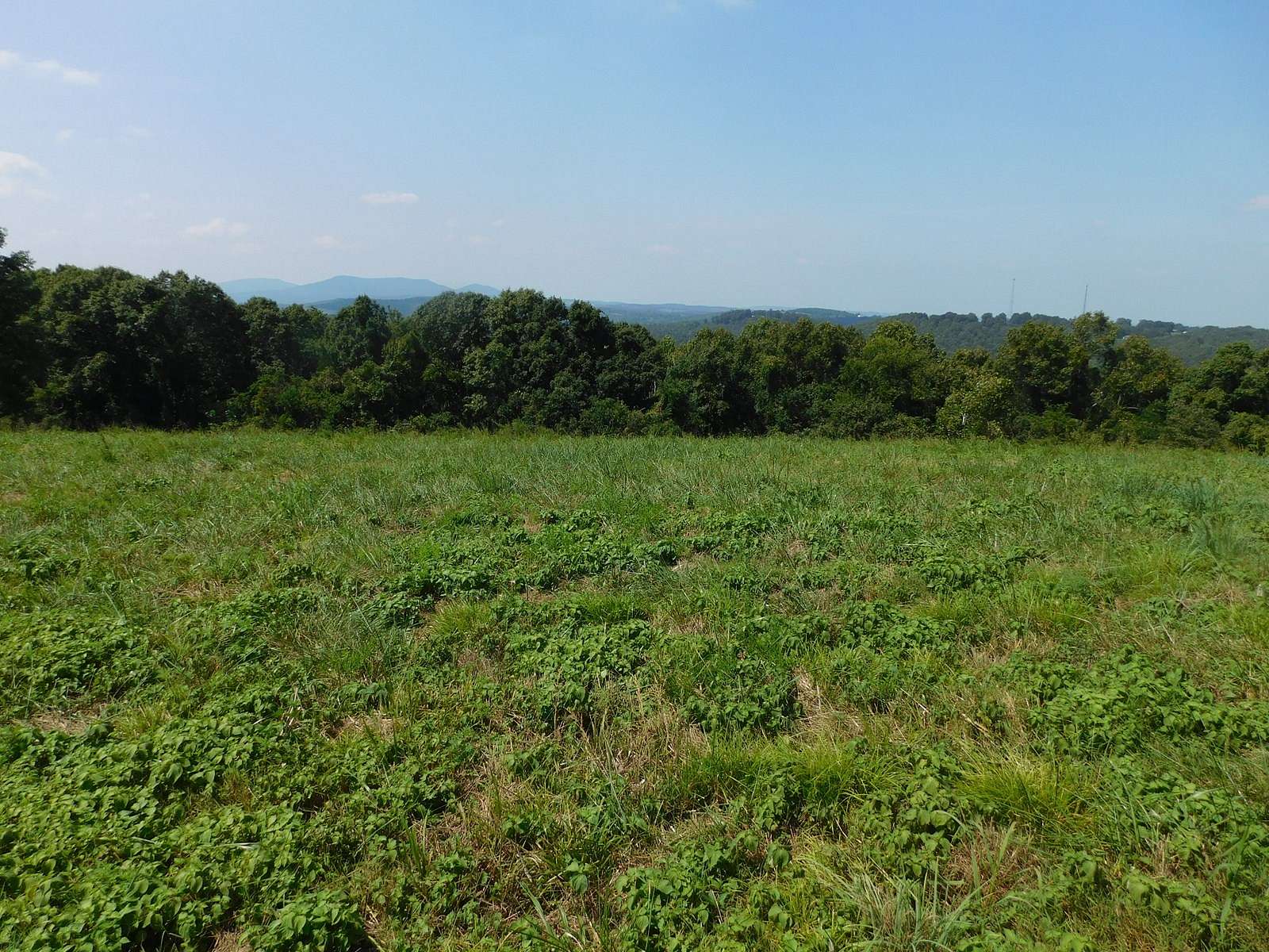 362 Acres of Land for Sale in Western Grove, Arkansas