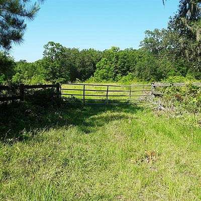 32.8 Acres of Recreational Land & Farm for Sale in Monticello, Florida