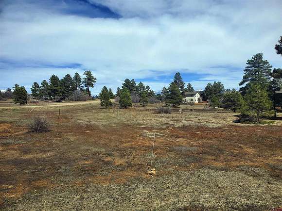 0.23 Acres of Residential Land for Sale in Pagosa Springs, Colorado