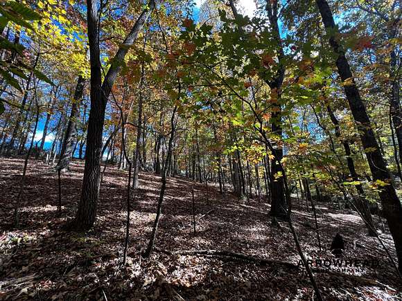 13 Acres of Recreational Land for Sale in La Follette, Tennessee