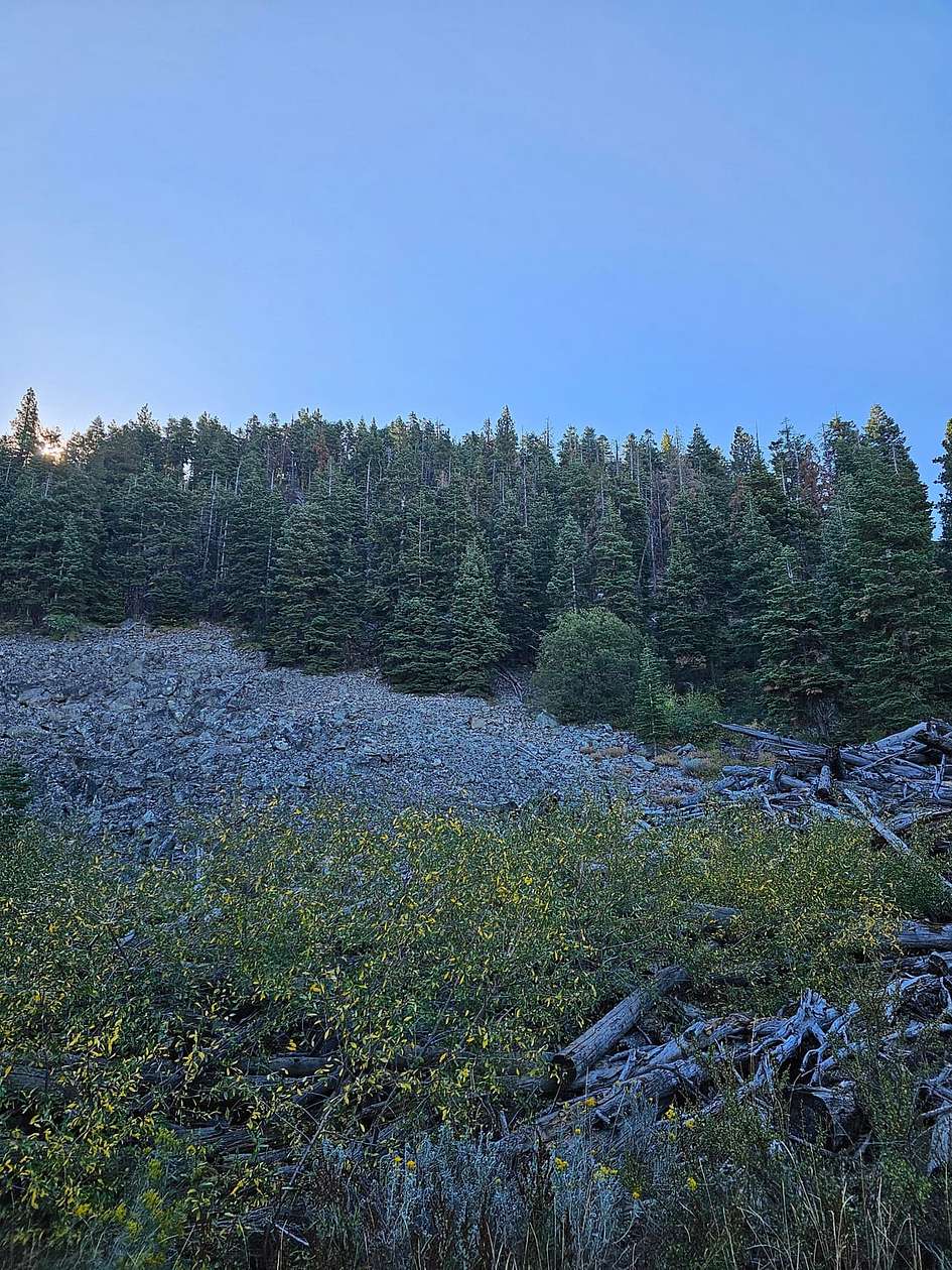 160 Acres of Land for Sale in Lakeview, Oregon