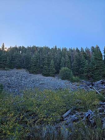 160 Acres of Land for Sale in Lakeview, Oregon