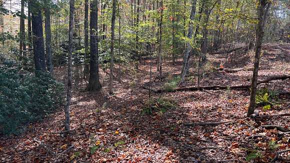 Elberton Land For Sale