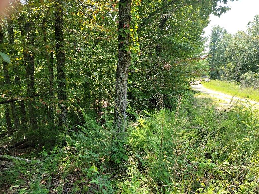 0.728 Acres of Residential Land for Sale in Holladay, Tennessee