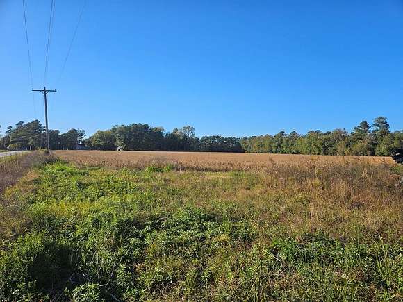 95 Acres of Recreational Land & Farm for Sale in Cades, South Carolina