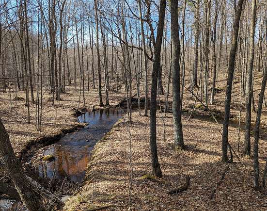 407 Acres of Recreational Land for Sale in Exeland, Wisconsin