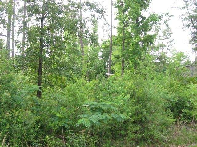 0.33 Acres of Land for Sale in Carriere, Mississippi