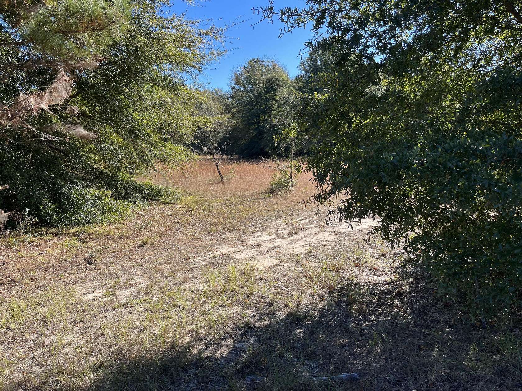 2 Acres of Residential Land for Sale in Augusta, Georgia