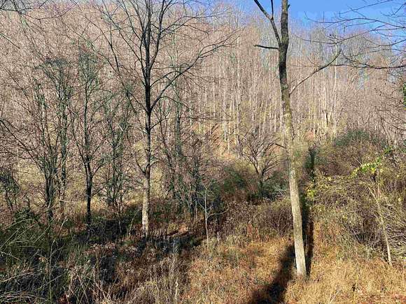 1.4 Acres of Residential Land for Sale in Fairview, West Virginia