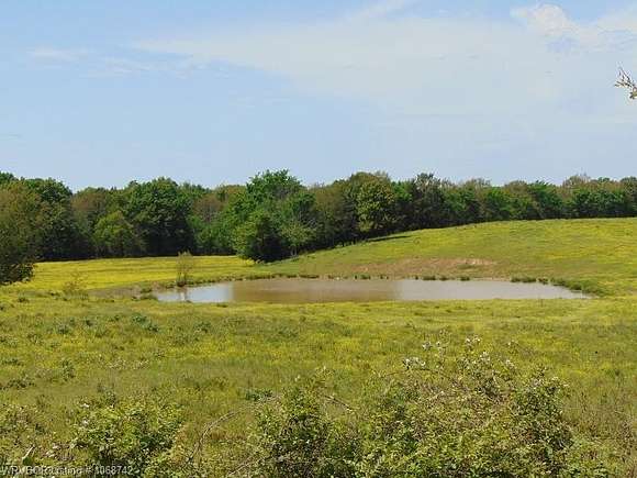 120 Acres of Agricultural Land for Sale in Shady Point, Oklahoma