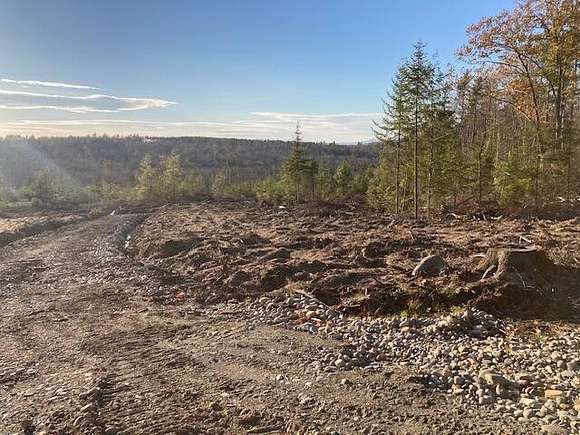 15.3 Acres of Land for Sale in Vienna, Maine