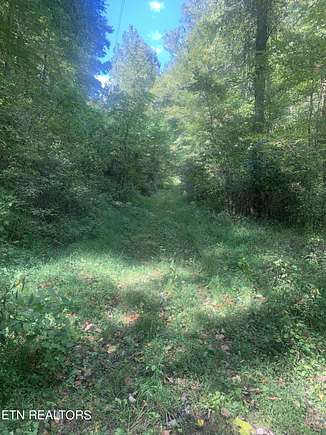 25 Acres of Recreational Land for Sale in Clairfield, Tennessee