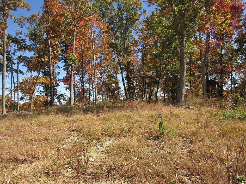 20.5 Acres of Recreational Land for Sale in Celina, Tennessee