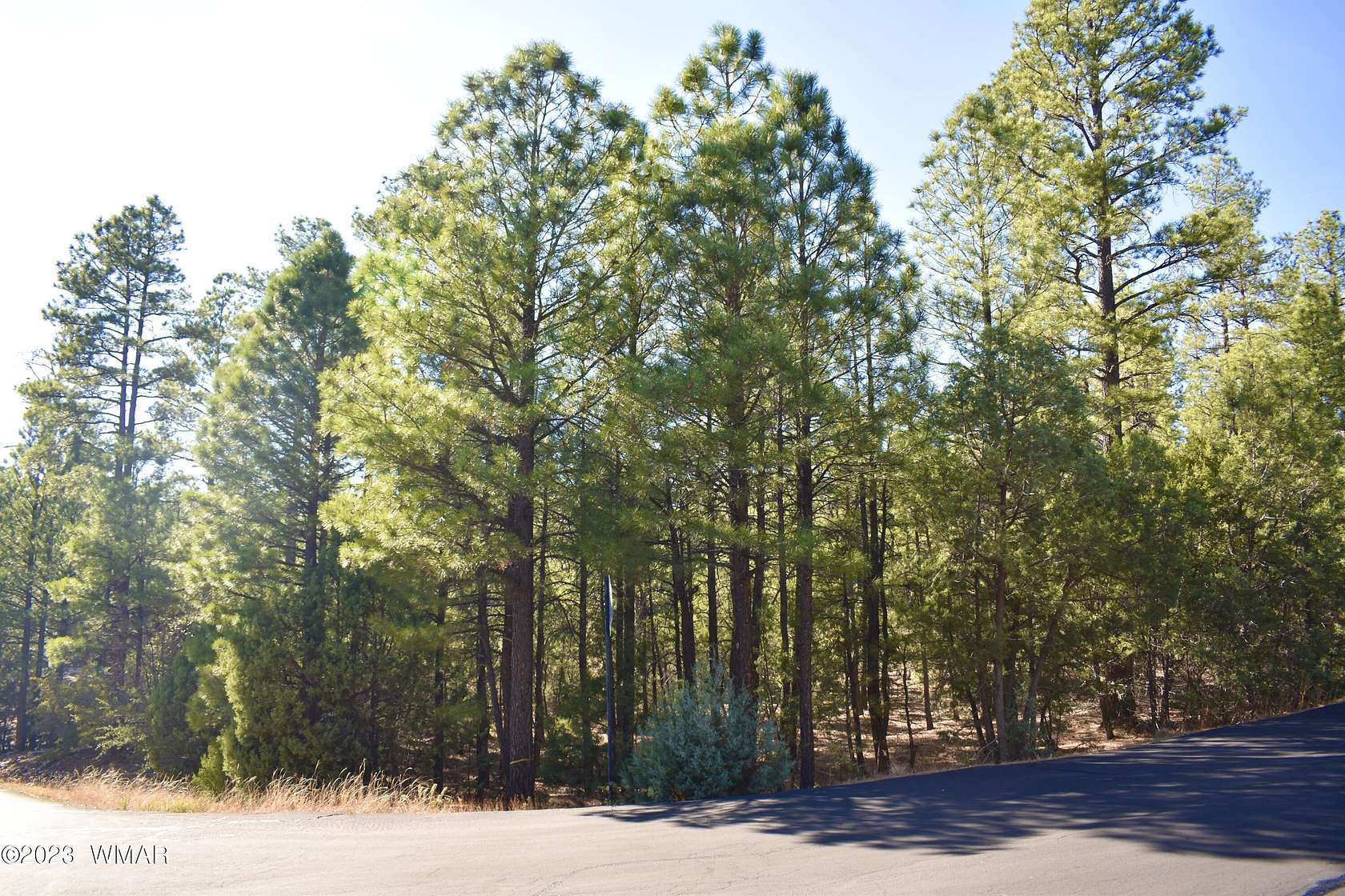 1.21 Acres of Residential Land for Sale in Show Low, Arizona