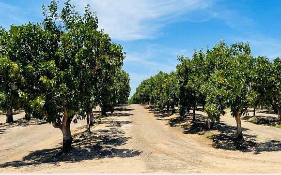 19.4 Acres of Agricultural Land for Sale in Madera, California