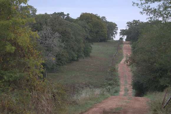 22.8 Acres of Recreational Land & Farm for Sale in Lexington, Texas