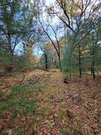 1.03 Acres of Residential Land for Sale in Arkdale, Wisconsin