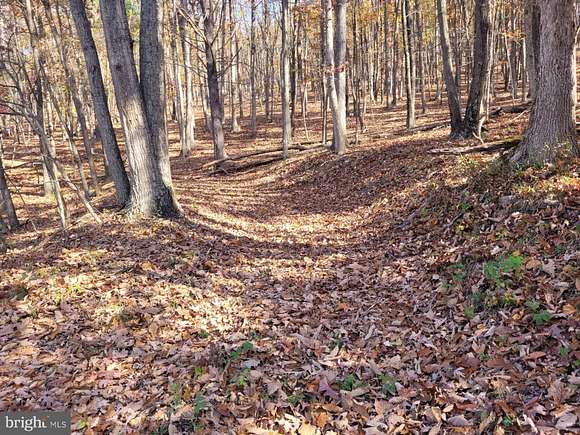 9.4 Acres of Land for Sale in Augusta, West Virginia
