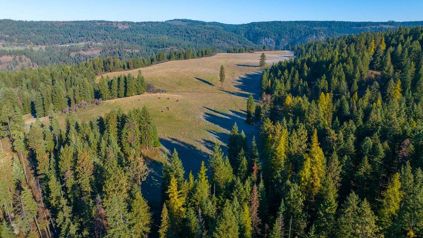 320 Acres of Recreational Land & Farm for Sale in Orofino, Idaho