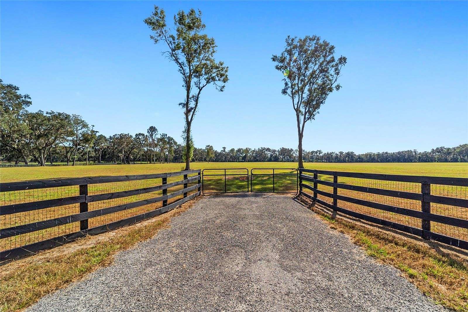 40 Acres of Agricultural Land for Sale in Ocala, Florida