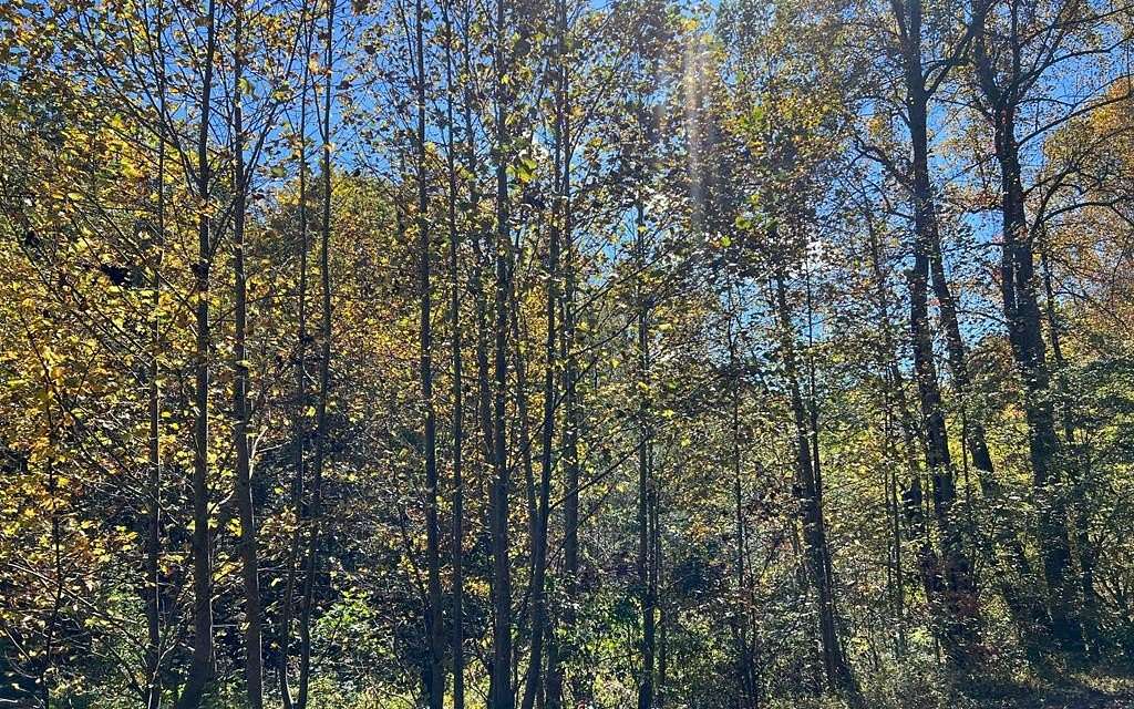 4 Acres of Land for Sale in Hayesville, North Carolina