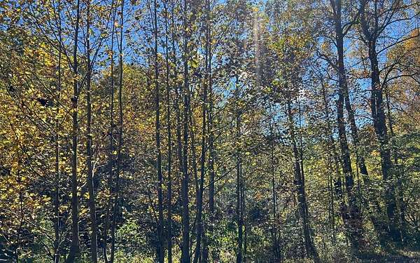 4 Acres of Land for Sale in Hayesville, North Carolina