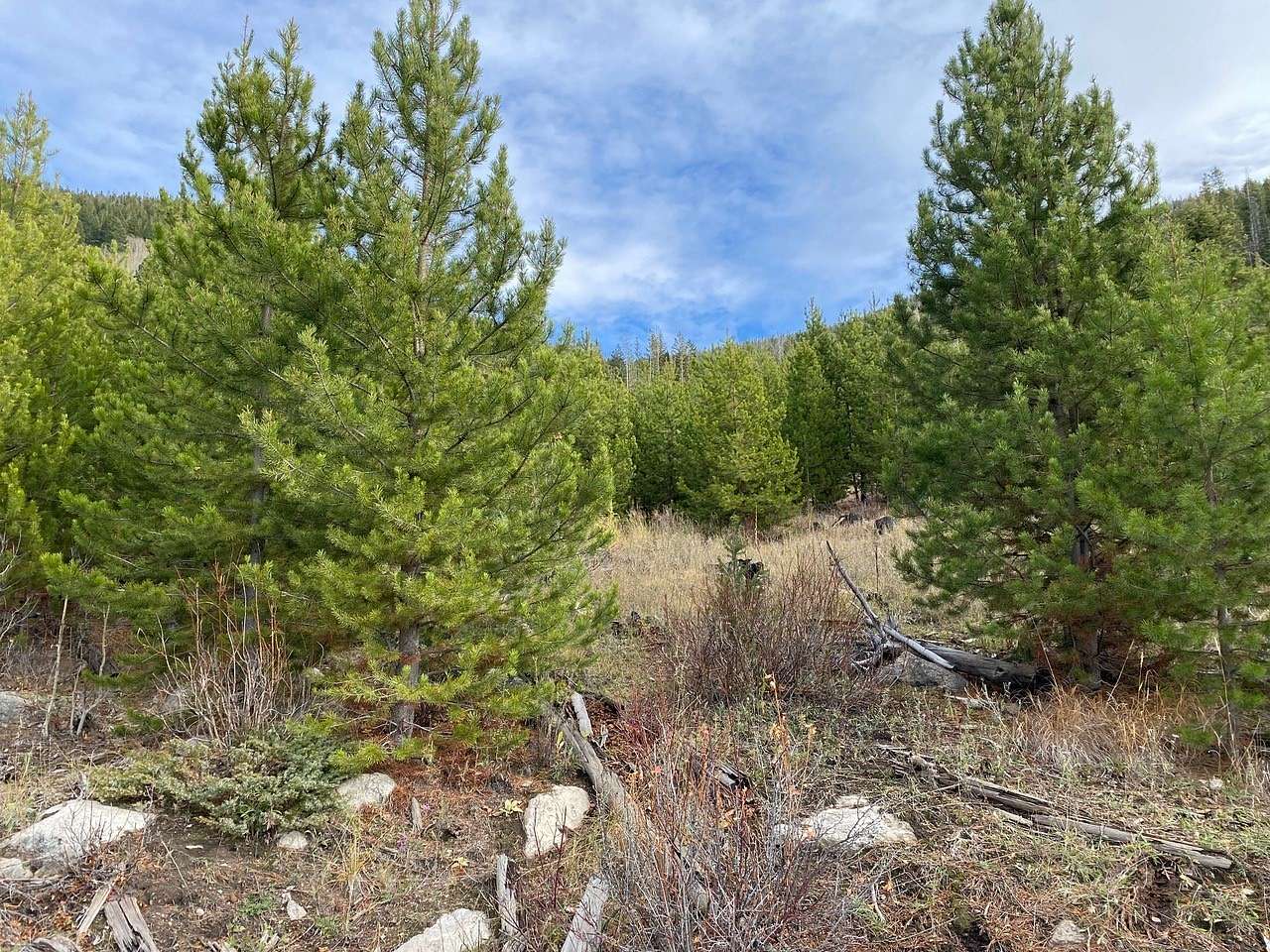 1.4 Acres of Land for Sale in Butte, Montana