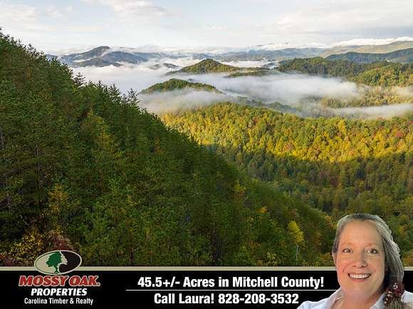 45.5 Acres of Recreational Land for Sale in Green Mountain, North Carolina