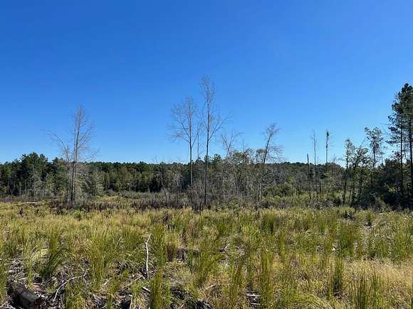 55 Acres of Recreational Land for Sale in Jonesboro, Louisiana