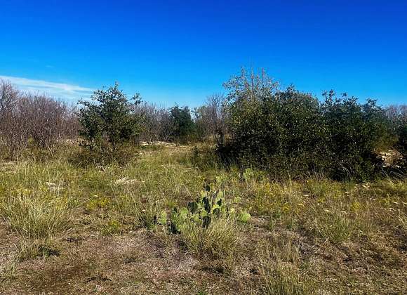 0.39 Acres of Residential Land for Sale in Graford, Texas