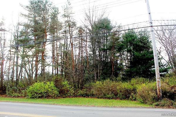 1.5 Acres of Land for Sale in Springville, New York