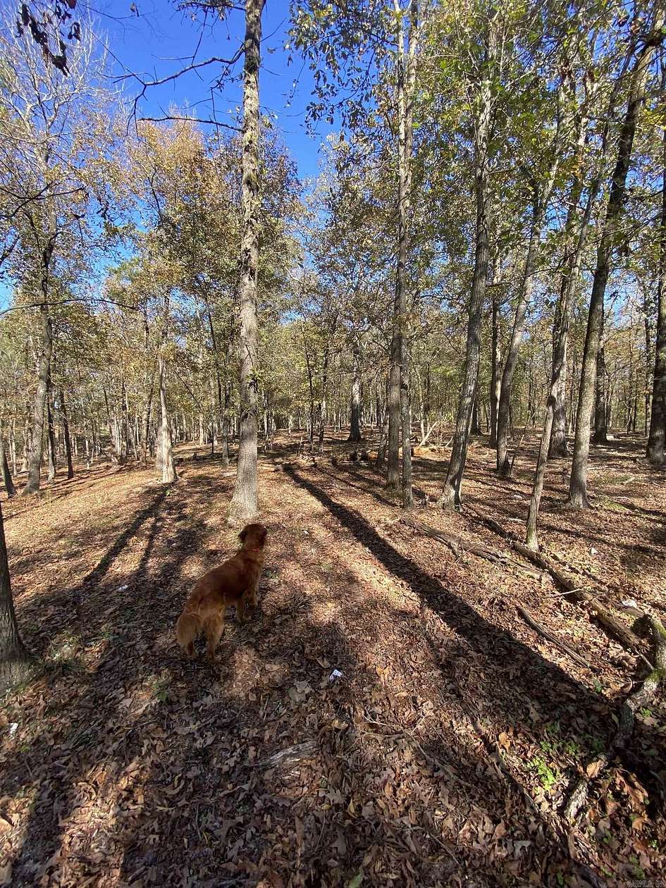 4 Acres of Land for Sale in Royal, Arkansas