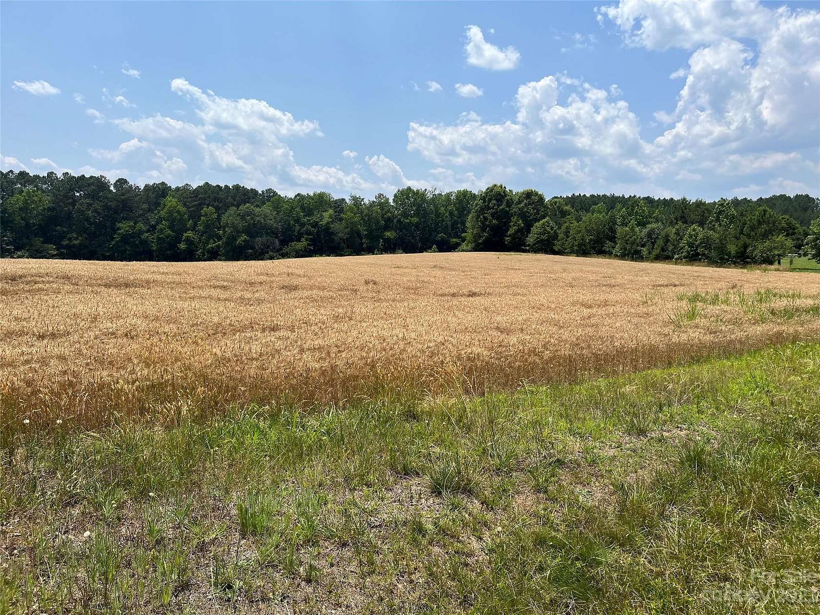 11.7 Acres of Land for Sale in Albemarle, North Carolina