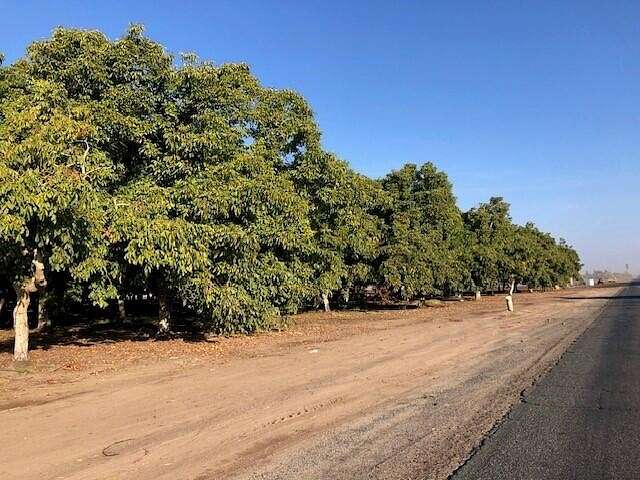 24.7 Acres of Agricultural Land for Sale in Porterville, California