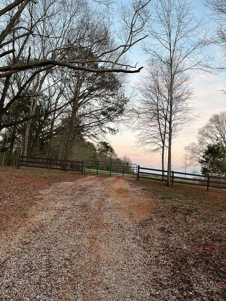 42 Acres of Mixed-Use Land for Sale in Brundidge, Alabama