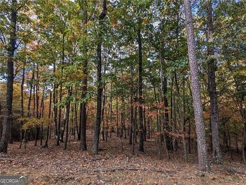 0.9 Acres of Residential Land for Sale in Jasper, Georgia