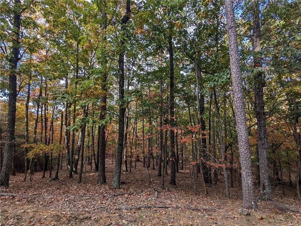 1 Acre of Residential Land for Sale in Jasper, Georgia